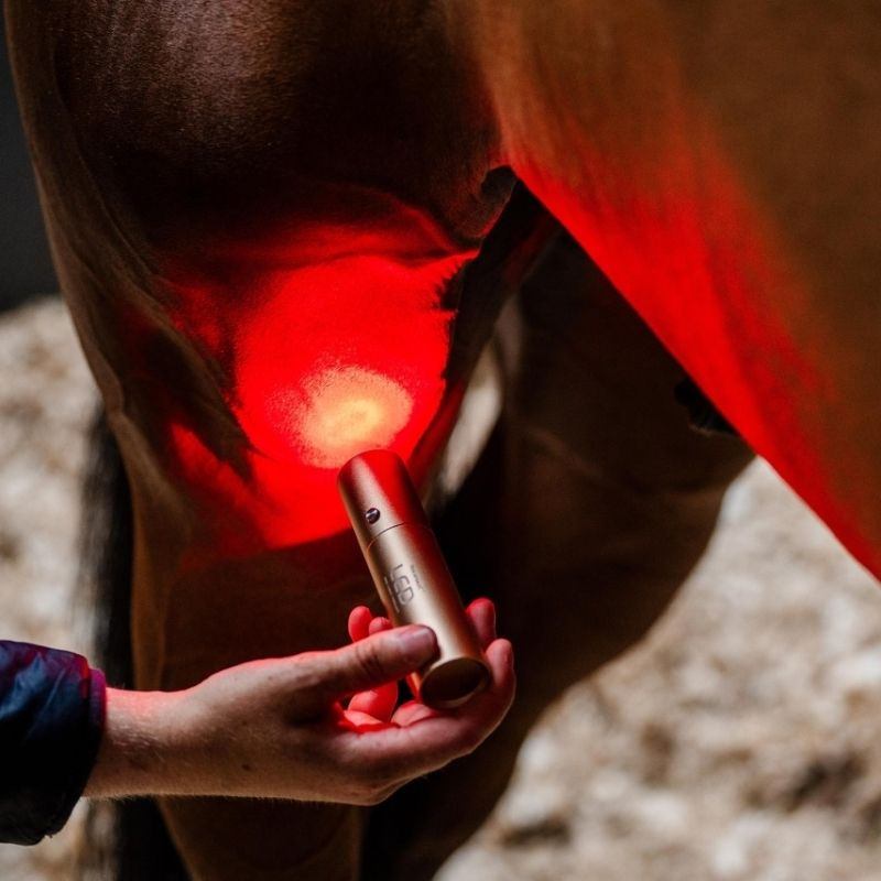Lampe de thérapie LED Red Light Therapy Wand