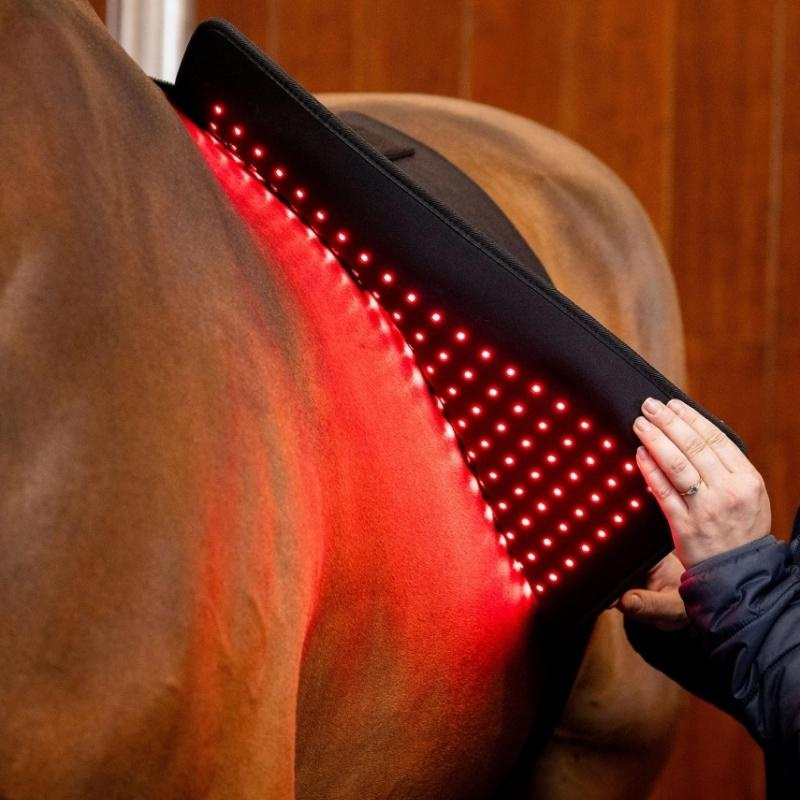 Coussin thérapeutique LED Red Light Therapy Noir 