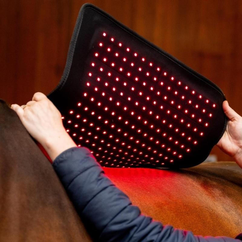 Coussin thérapeutique LED Red Light Therapy Noir 