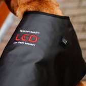 Manteau thérapeutique pour chien LED Red Light Therapy Noir Manteau thérapeutique pour chien LED Red Light Therapy Noir