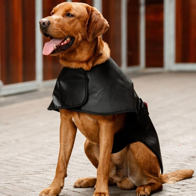 Manteau thérapeutique pour chien LED Red Light Therapy Noir 
