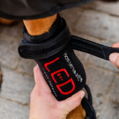 Bandage de thérapie pour chien LED Red Light Therapy Noir Bandage de thérapie pour chien LED Red Light Therapy Noir