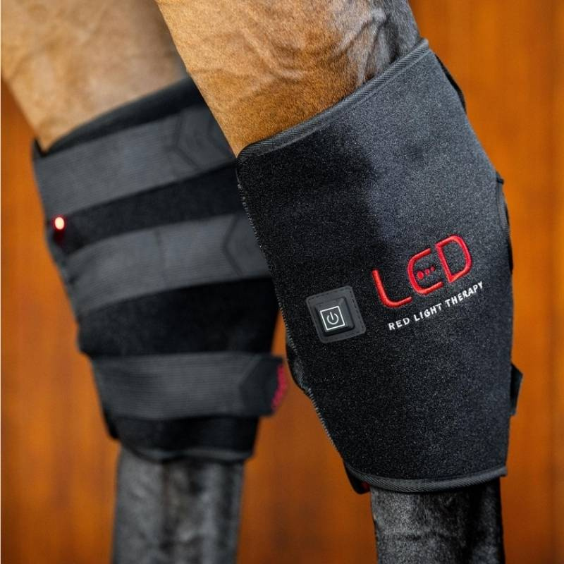 Protège-jarret thérapeutique LED Red Light Therapy Noir