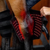 Protège-jarret thérapeutique LED Red Light Therapy Noir Protège-jarret thérapeutique LED Red Light Therapy Noir