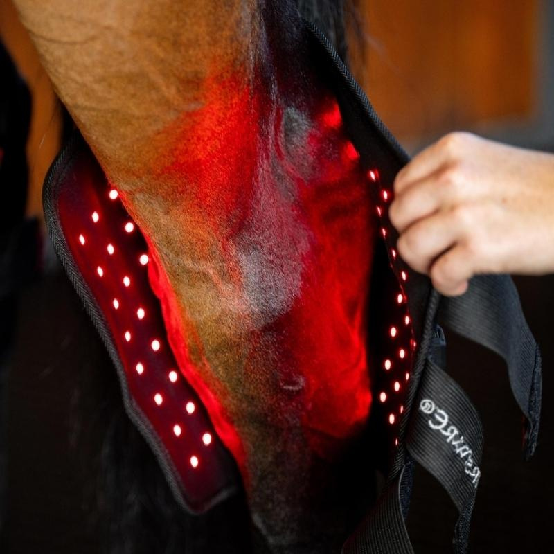 Protège-jarret thérapeutique LED Red Light Therapy Noir