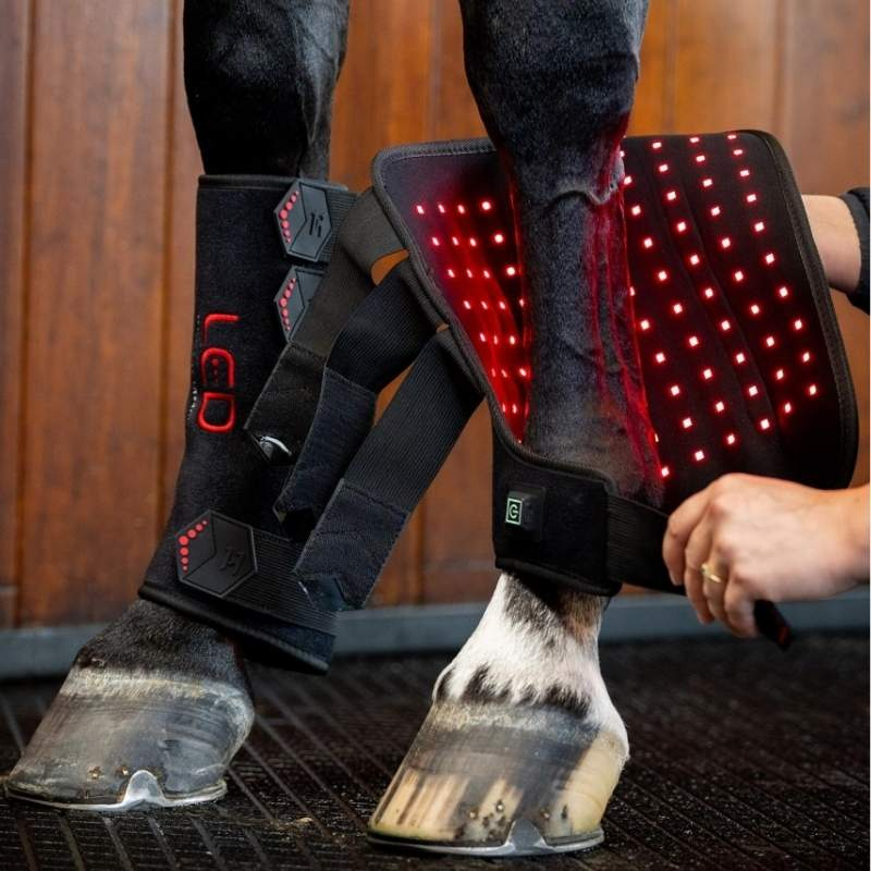 Guêtres de thérapie LED Red Light Therapy Noir