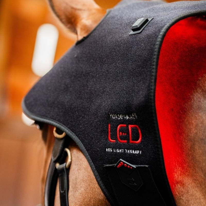 Cagoule thérapeutique LED Red Light Therapy Noir 