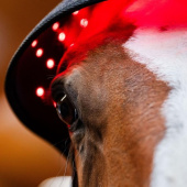 Cagoule thérapeutique LED Red Light Therapy Noir Cagoule thérapeutique LED Red Light Therapy Noir
