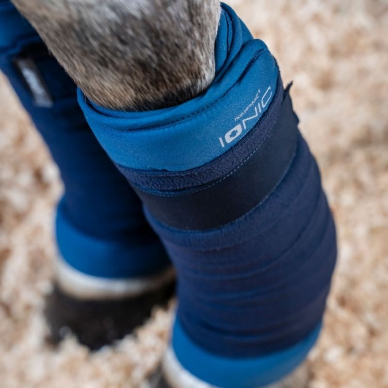 Sous-bandes Ionic Therapy 2-pack Bleu 