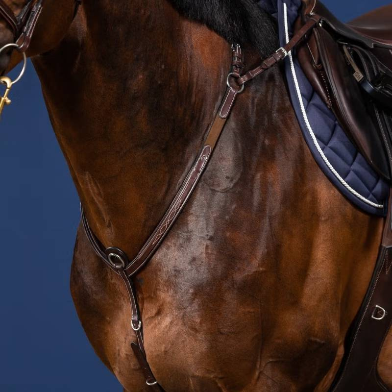 Collier de chasse avec pont US Collection Marron