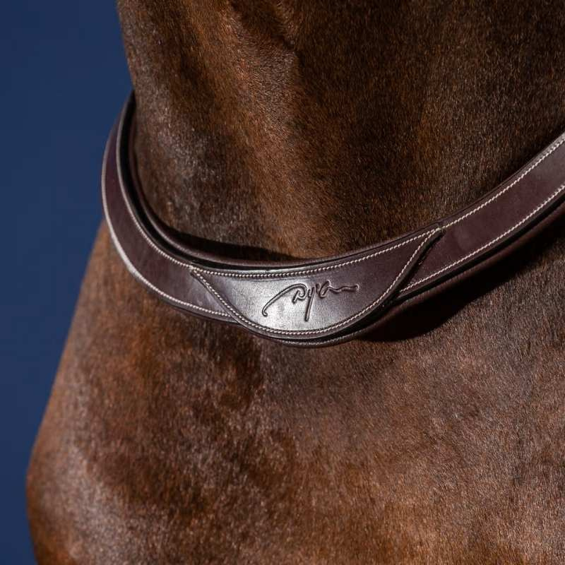 Collier de chasse Collar US Collection Marron