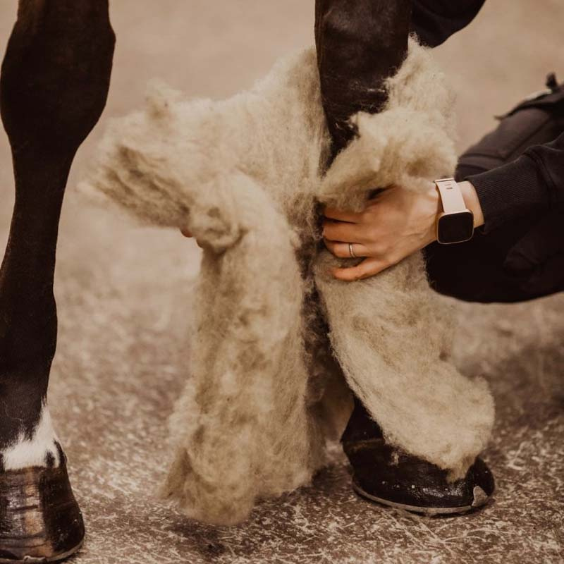 Coussins en laine Wool Care Nature