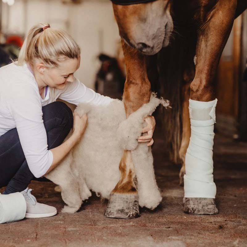 Coussins en laine Wool Care Nature