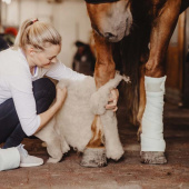 Coussins en laine Wool Care Nature Coussins en laine Wool Care Nature