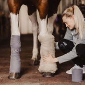 Coussins en laine Wool Care Nature Coussins en laine Wool Care Nature