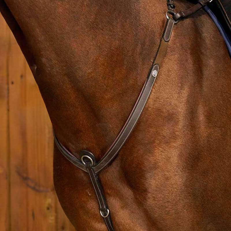 Sangle avec Martingale WC Marron 