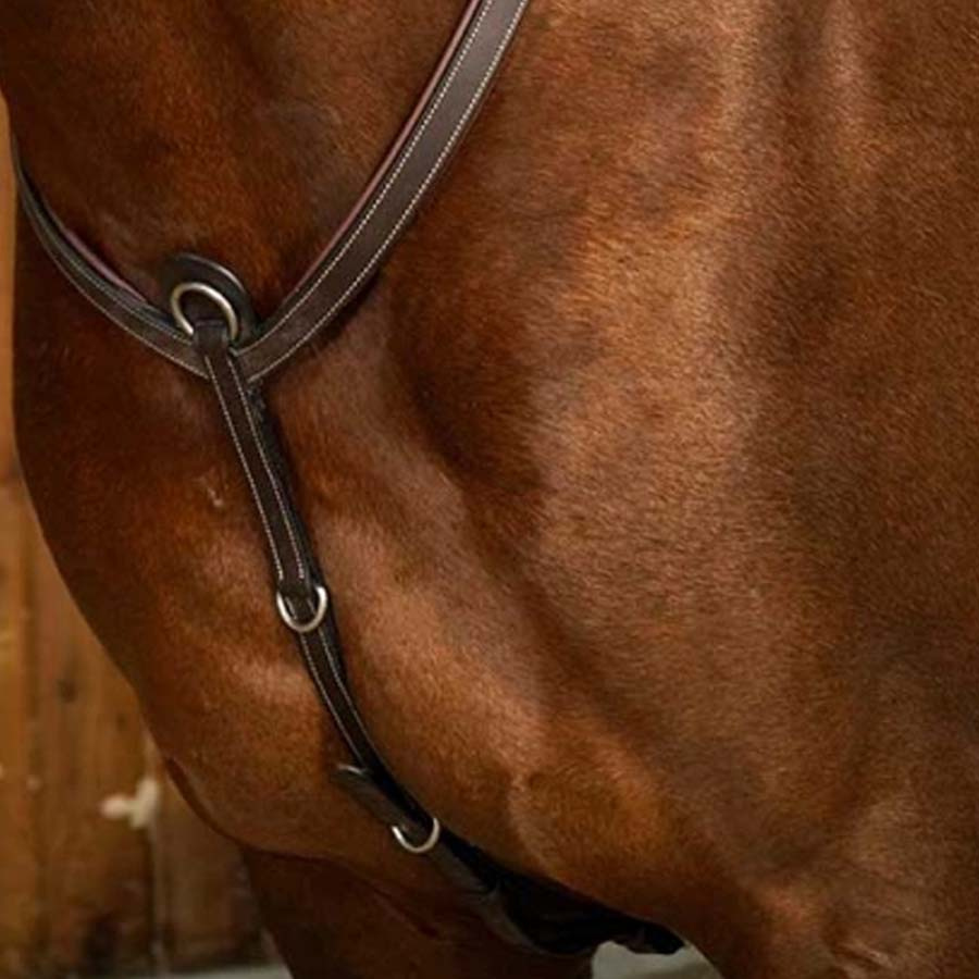 Sangle avec Martingale WC Marron 