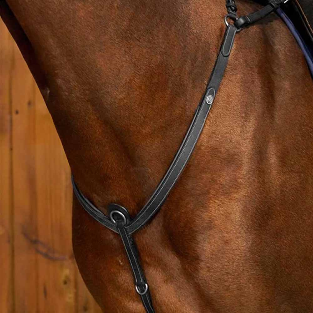 Sangle avec Martingale WC Noir