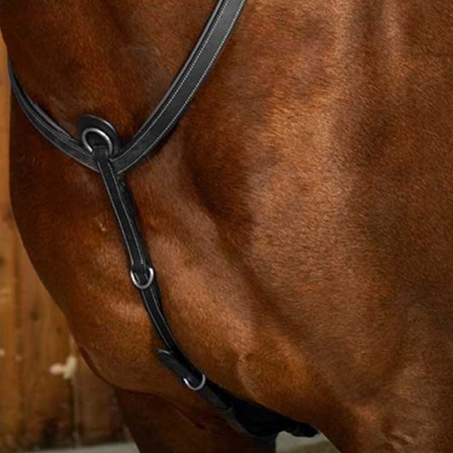 Sangle avec Martingale WC Noir