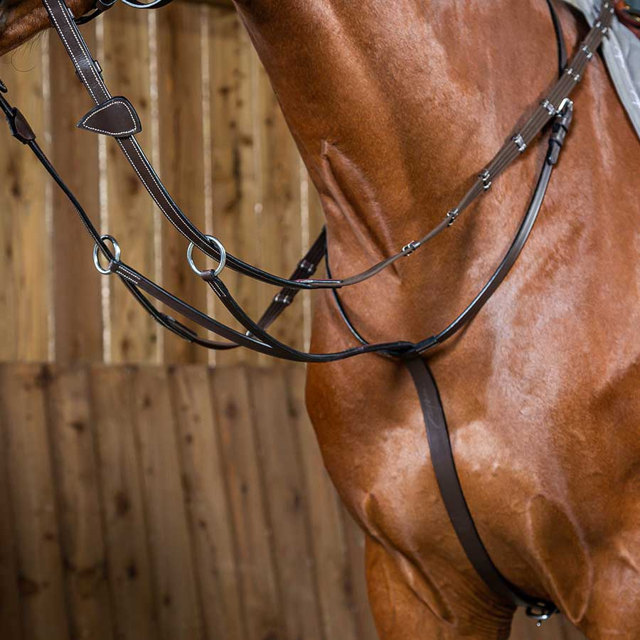 Martingale WC Marron