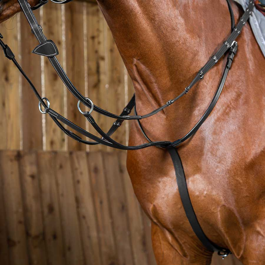 Martingale WC Noir