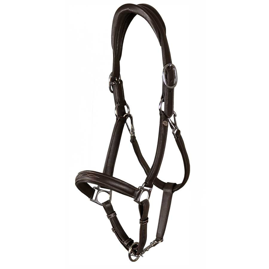 Licou en Cuir 2-en-1 WC Marron
