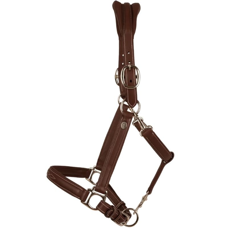 Licou en Cuir 2-en-1 Working Collection Marron