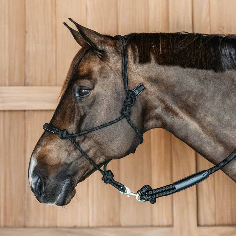 Halter en corde Training WBD Noir
