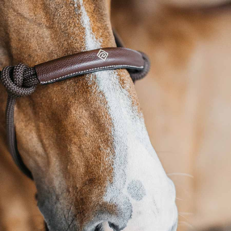 Halter en corde Training WBD Marron