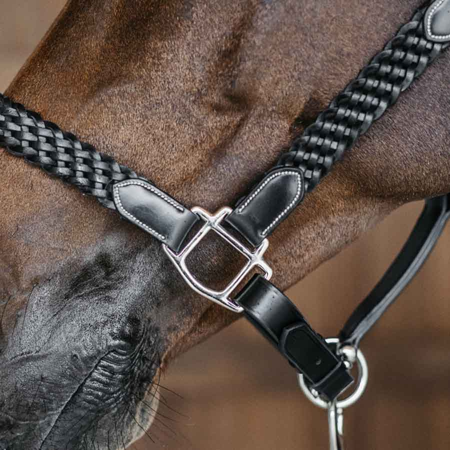 Halter en cuir Plaited WBD Noir