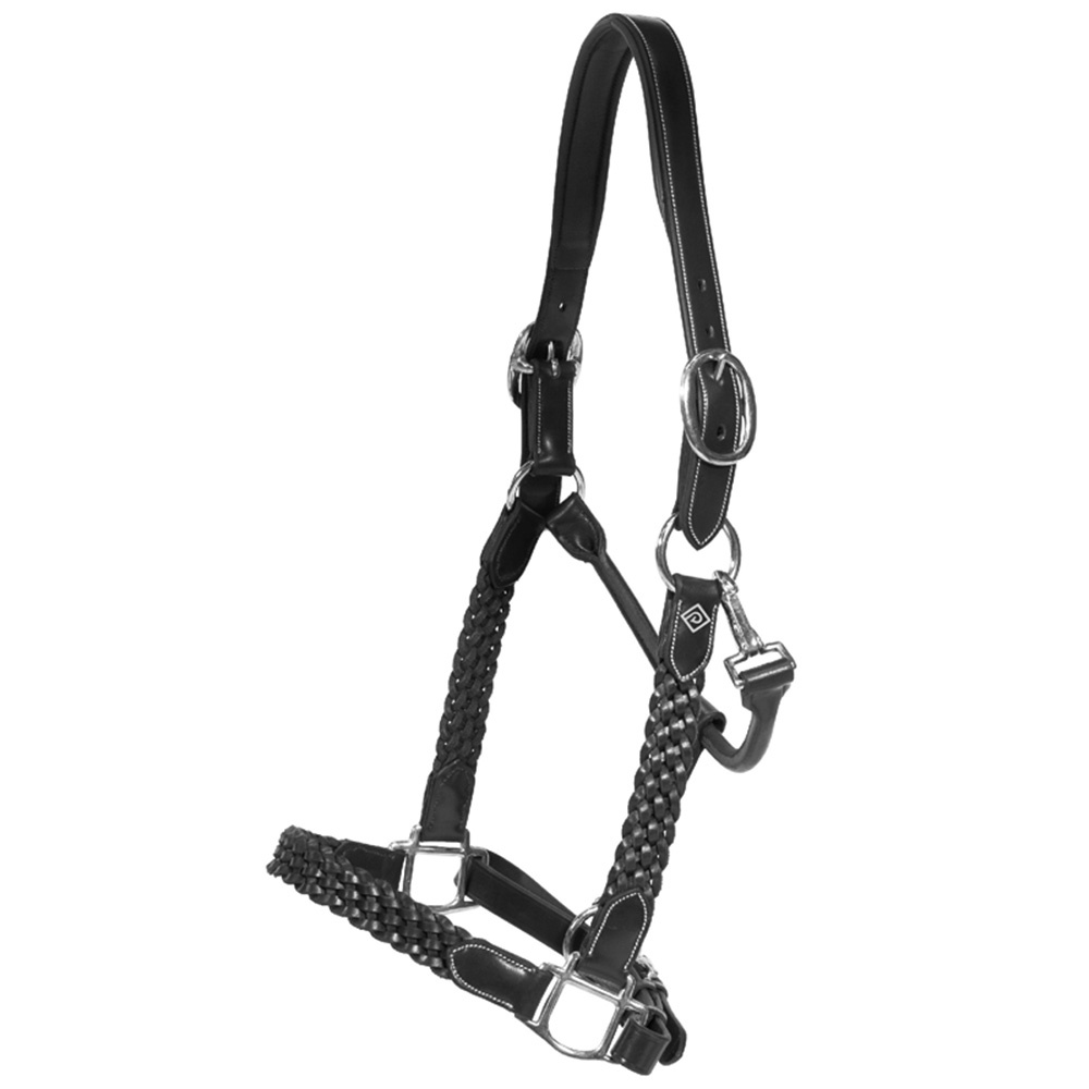 Halter en cuir Plaited WBD Noir