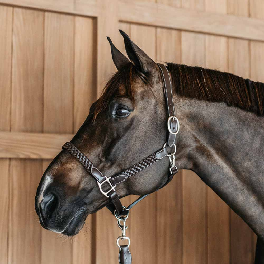 Halter en cuir Plaited WBD Marron