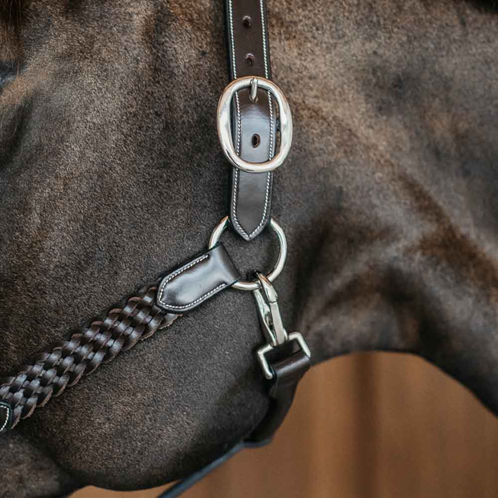 Halter en cuir Plaited WBD Marron