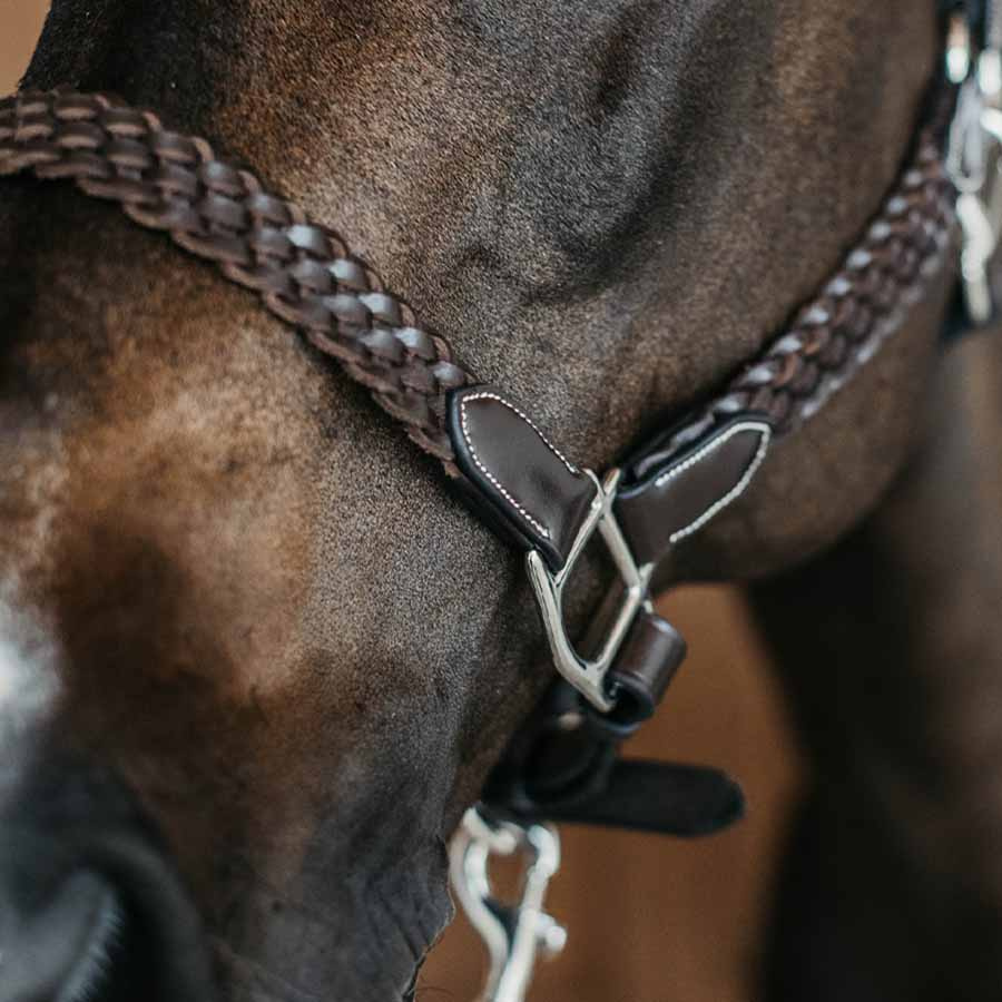 Halter en cuir Plaited WBD Marron