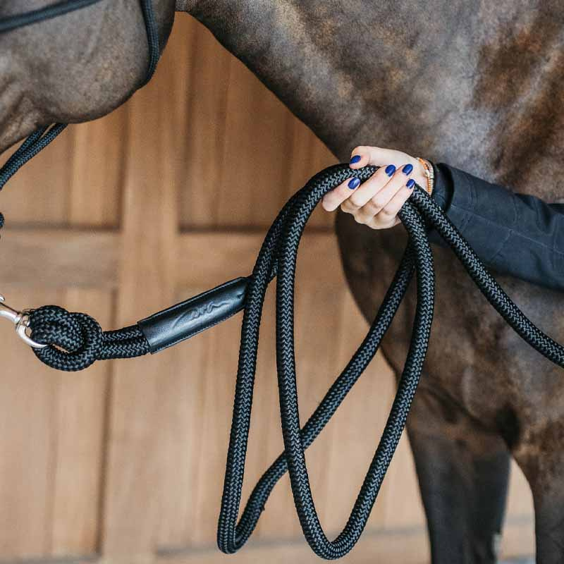 Licol Training Removable Snap WBD Noir