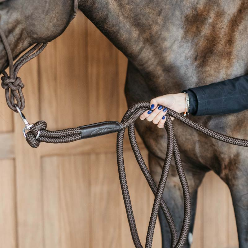 Licol Training Removable Snap WBD Marron
