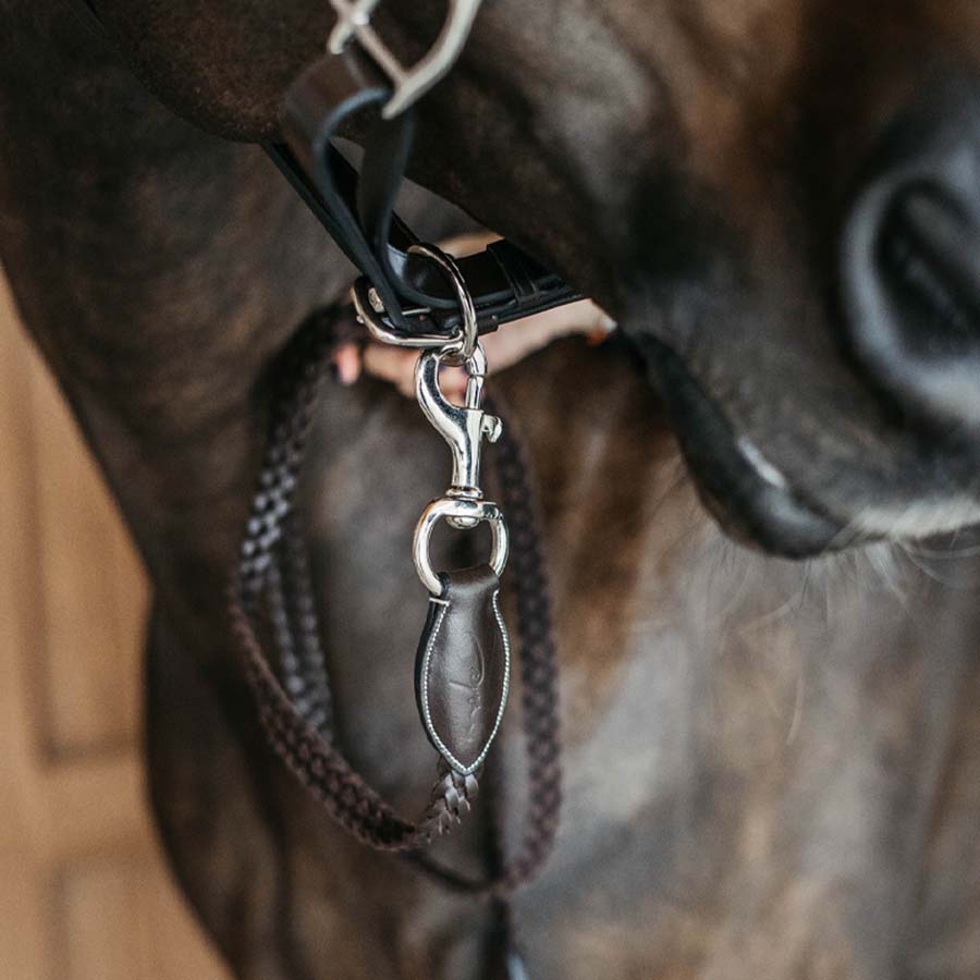 Halter en cuir Plaited WBD Marron