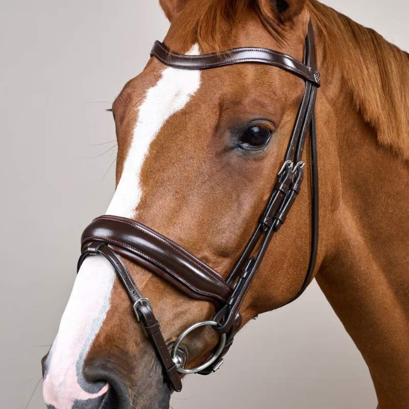 Bridon de dressage Mate Working Collection Marron