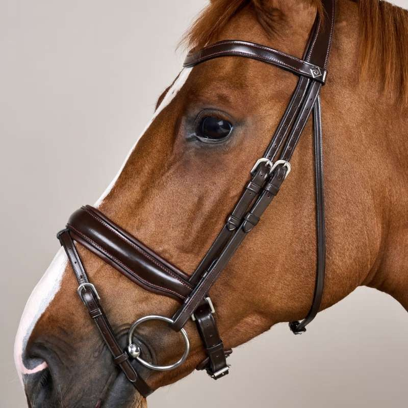 Bridon de dressage Mate Working Collection Marron