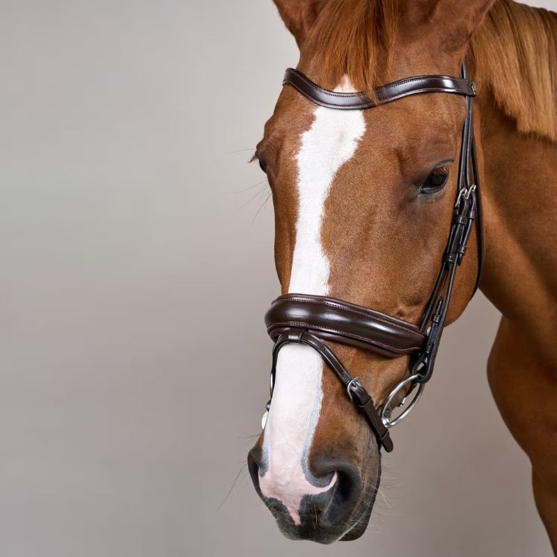 Bridon de dressage Mate Working Collection Marron