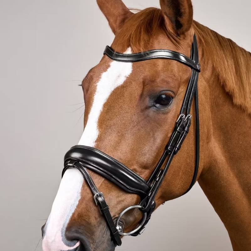 Bride de dressage Mate WC Noir