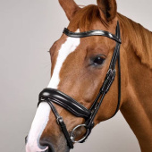 Bride de dressage Mate WC Noir Bride de dressage Mate WC Noir