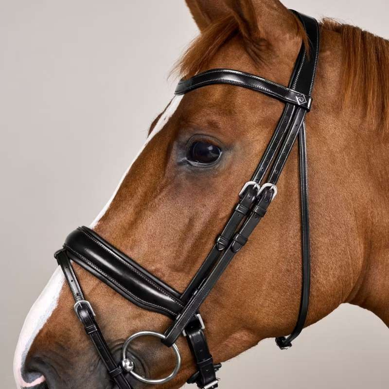 Bride de dressage Mate WC Noir