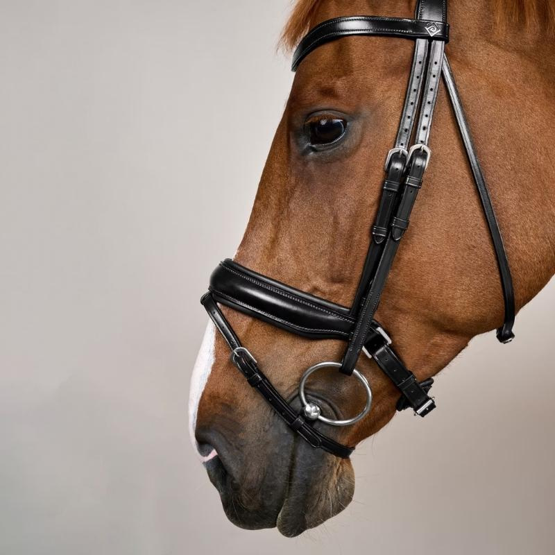 Bride de dressage Mate WC Noir