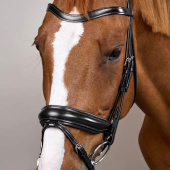 Bride de dressage Mate WC Noir Bride de dressage Mate WC Noir