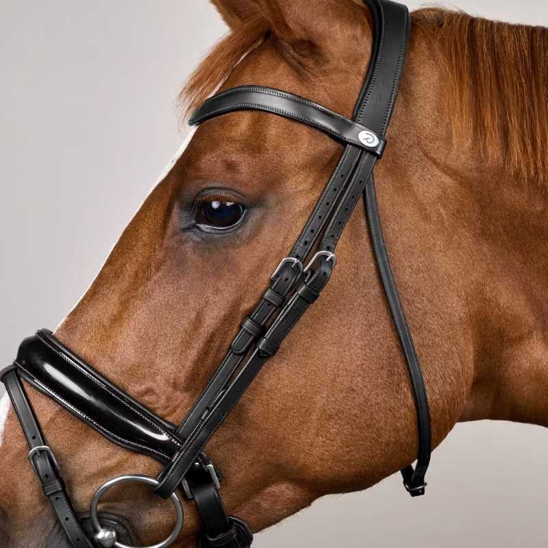 Bride de dressage Vernie WC Noir