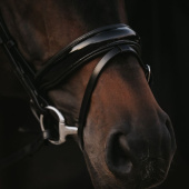 Bride de dressage Vernie Working Collection Noir Bride de dressage Vernie Working Collection Noir
