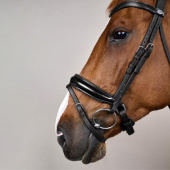 Bride de dressage Vernie WC Noir Bride de dressage Vernie WC Noir