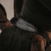 Bride de dressage Vernie Working Collection Noir Bride de dressage Vernie Working Collection Noir