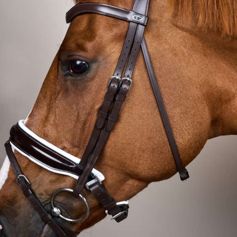 Bridon de dressage Working Collection Marron/Blanc